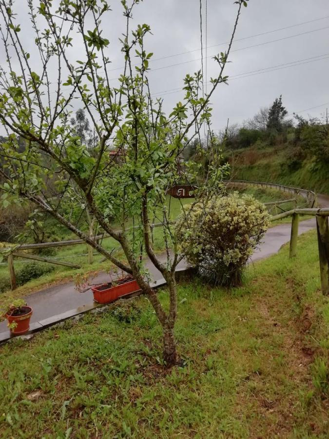 Penzion El Oteru I Villaviciosa  Exteriér fotografie