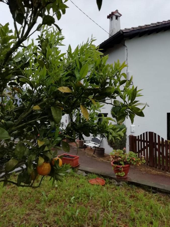 Penzion El Oteru I Villaviciosa  Exteriér fotografie
