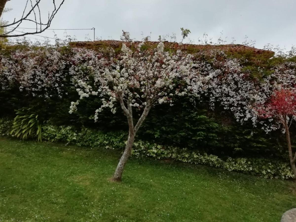 Penzion El Oteru I Villaviciosa  Exteriér fotografie